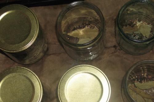 Заготовки из вешенок. Заготовка вешенок на зиму в домашних условиях