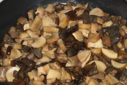 Заготовки из вешенок. Заготовка вешенок на зиму в домашних условиях