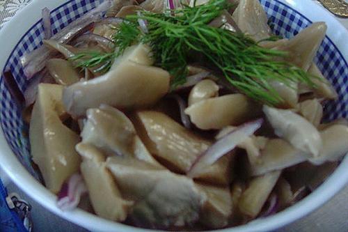 Заготовки из вешенок. Заготовка вешенок на зиму в домашних условиях