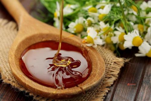 Полезные свойства меда и какой вред может нанести организму. Пчелиный мёд: польза и вред 01 Полезные свойства меда и какой вред может нанести организму. Пчелиный мёд: польза и вред 01