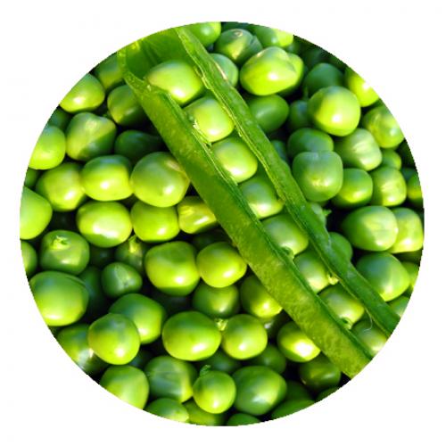 Полезные свойства меда и какой вред может нанести организму. Пчелиный мёд: польза и вред 04 Полезные свойства меда и какой вред может нанести организму. Пчелиный мёд: польза и вред 04