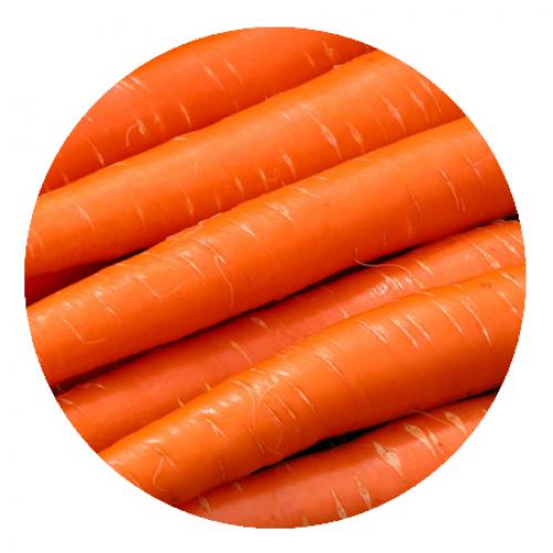 Полезные свойства меда и какой вред может нанести организму. Пчелиный мёд: польза и вред 06 Полезные свойства меда и какой вред может нанести организму. Пчелиный мёд: польза и вред 06