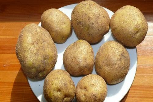 ᐉ сорт картофеля венета: история и характеристики 02