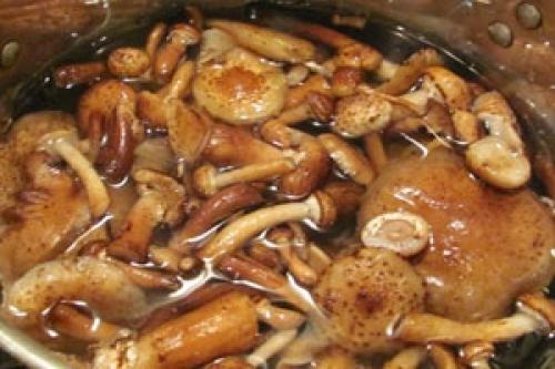 Как хранить икру грибную с луком, морковью и помидорами после приготовления. Грибная икра замороженная