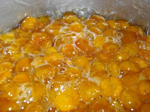 Густой джем из желтой сливы. Варенье из желтой сливы без косточек: классический рецепт пошагово