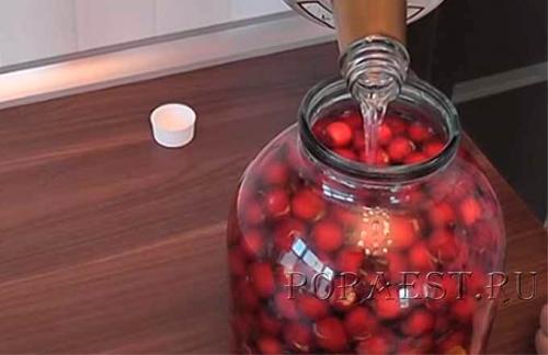 Можно ли использовать компот из боярышника на зиму для приготовления других блюд. Боярышник — 7 идеальных способов приготовления заготовки на зиму