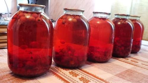 Вкуснейший компот из боярышника: рецепт на зиму 14 Вкуснейший компот из боярышника: рецепт на зиму 14