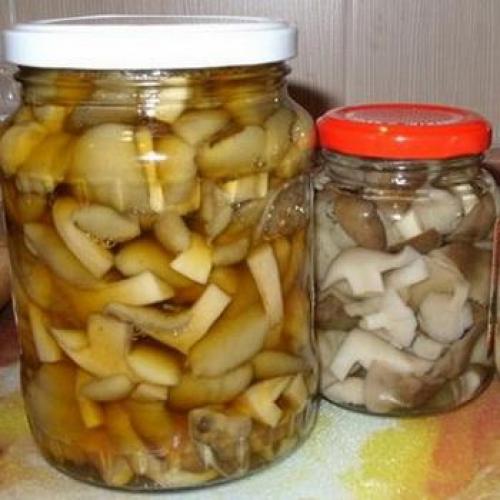 Какие ингредиенты нужны для приготовления маринованных Тополиных рядовков. Маринование тополиных рядовок в домашних условиях