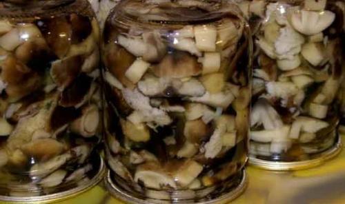 Какие ингредиенты нужны для приготовления маринованных Тополиных рядовков. Маринование тополиных рядовок в домашних условиях