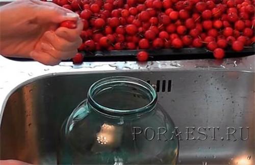 Можно ли использовать компот из боярышника на зиму для приготовления других блюд. Боярышник — 7 идеальных способов приготовления заготовки на зиму