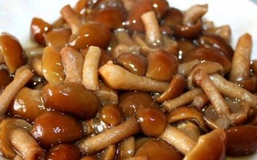 Как варить опята перед маринованием. Опята маринованные на зиму в банках с уксусом