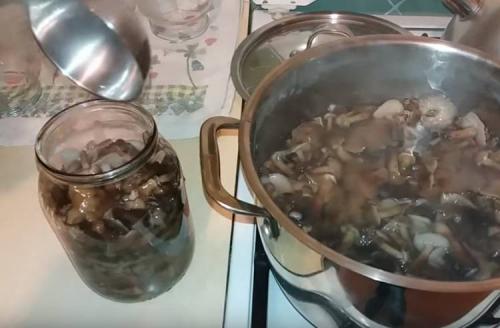 Как варить опята перед маринованием. Опята маринованные на зиму в банках с уксусом