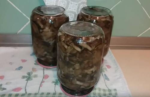 Как варить опята перед маринованием. Опята маринованные на зиму в банках с уксусом