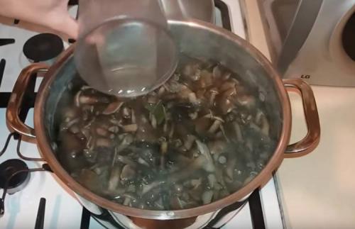 Как варить опята перед маринованием. Опята маринованные на зиму в банках с уксусом