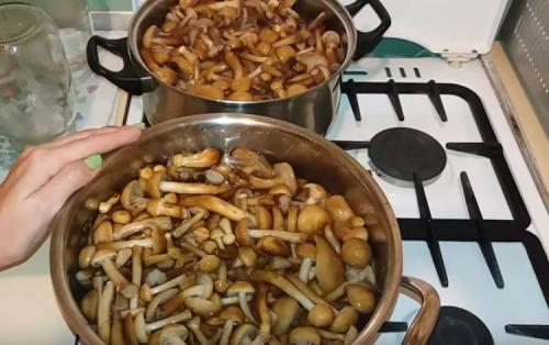 Как варить опята перед маринованием. Опята маринованные на зиму в банках с уксусом
