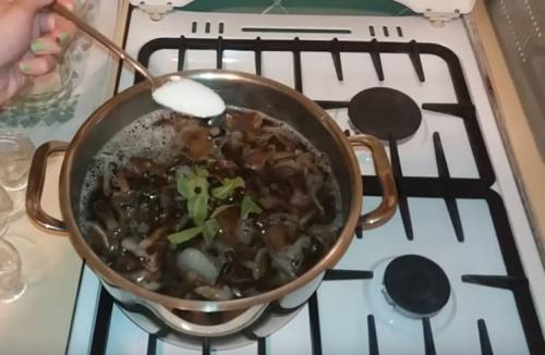 Как варить опята перед маринованием. Опята маринованные на зиму в банках с уксусом