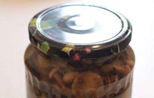 Как варить опята на зиму. Маринованные опята на зиму с уксусом без стерилизации