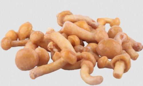 Сколько варить опята перед заморозкой. Нужно ли как правильно и сколько варить опята