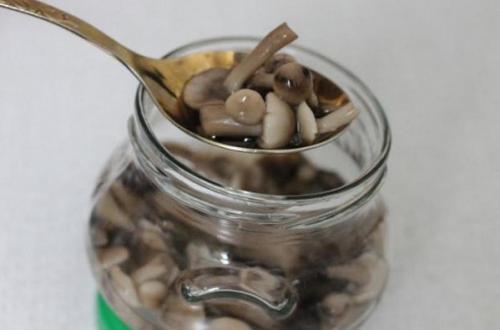 Как варить опята на зиму. Маринованные опята на зиму с уксусом без стерилизации