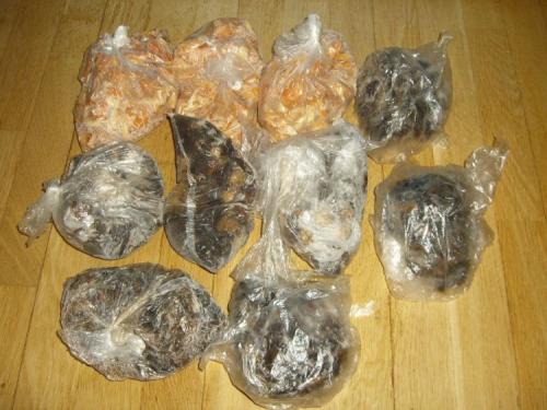 Опята варка заморозка. Как правильно осуществить сортировку?