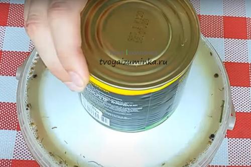 Сколько времени требуется на приготовление зеленых помидоров с горчицей в кастрюле. Помидоры с горчицей, как бочковые: рецепт заготовки в пластиковом ведре холодным способом