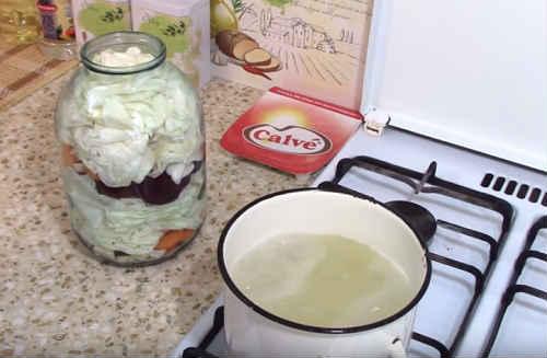 Капуста пелюстка с яблочным уксусом. Капуста пелюстка со свеклой — 8 рецептов быстрого приготовления и на зиму капусты с буряком