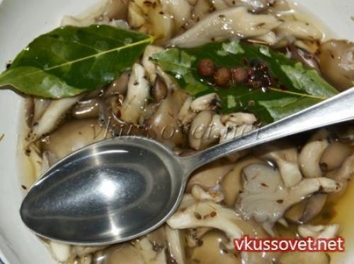Маринованные грибы вешенки за сутки