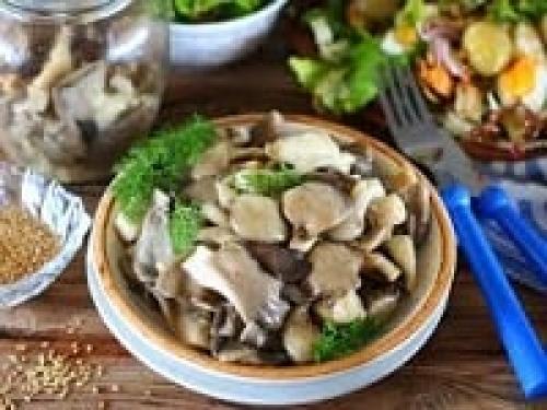 Маринованные вешенки хрустящие. Маринованные вешенки – очень вкусные рецепты в домашних условиях
