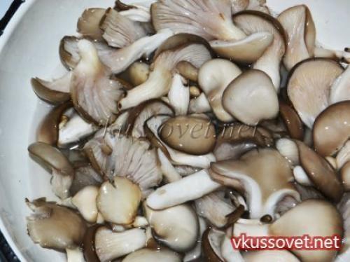 Маринованные грибы вешенки за сутки