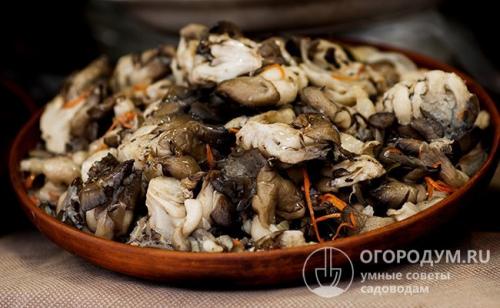 Как мариновать вешенки быстро. Маринуем вешенки быстро, просто и вкусно