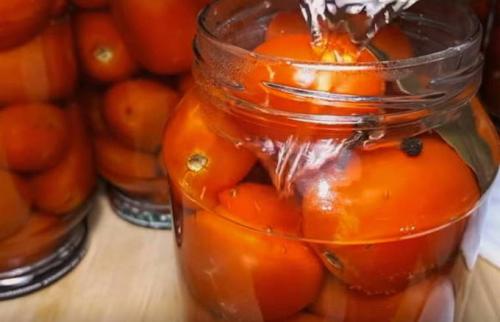 Квашеные помидоры, как бочковые. Квашеные помидоры на зиму без уксуса