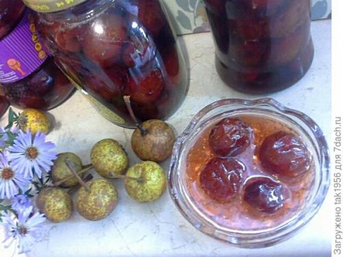 Как мочить дикие груши. Не было бы счастья, да несчастье помогло, или Чудеса из груши-дикарки. Мой урожай-2022, глава 4