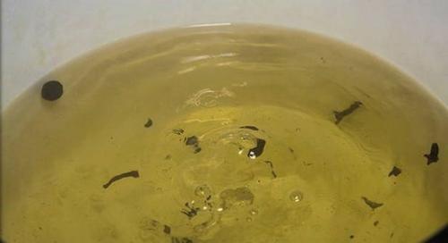 Помидоры зеленые соленые с чесноком. Солёные зелёные помидоры в банках