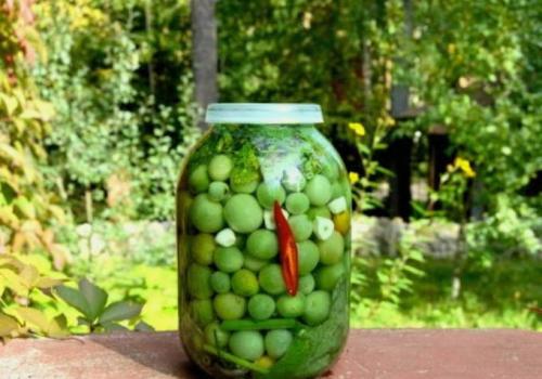 Зеленые помидоры соленые, как на рынке. Солёные зелёные помидоры в банках