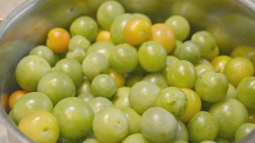 Помидоры зеленые соленые с чесноком. Солёные зелёные помидоры в банках