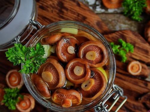 Помидоры зеленые соленые с чесноком. Солёные зелёные помидоры в банках