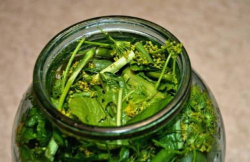 Помидоры зеленые соленые с чесноком. Солёные зелёные помидоры в банках