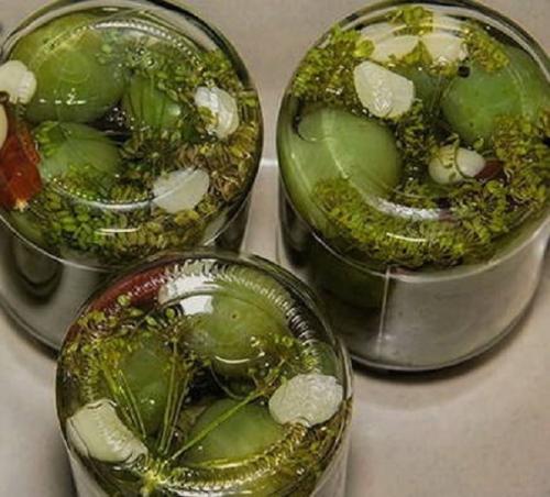 Помидоры зеленые соленые с чесноком. Солёные зелёные помидоры в банках