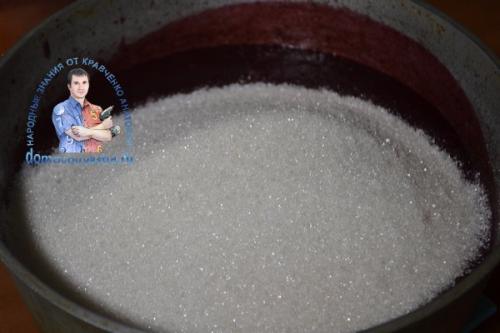 Джем из сливы блендером. Повидло из сливы без косточек простой рецепт на зиму