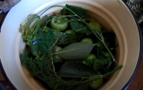 Как засолить зеленые помидоры не закатывая. Зелёные помидоры, соленые на зиму – простые и вкусные рецепты