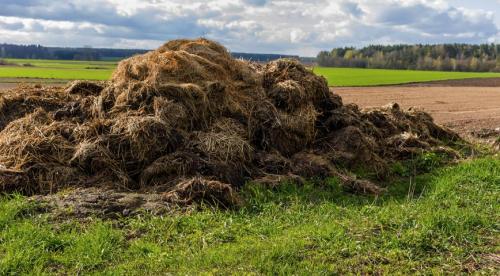 Минеральные удобрения, какие бывают. Минеральные удобрения для сада и огорода: какие бывают и как их правильно использовать? 08