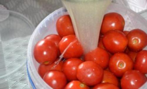 Помидоры с горчицей на зиму – популярная заготовка с тысячью вариантов. Топ-10 лучших рецептов помидоров с горчицей на зиму 30