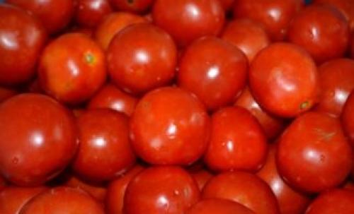 Помидоры с горчицей на зиму – популярная заготовка с тысячью вариантов. Топ-10 лучших рецептов помидоров с горчицей на зиму 25