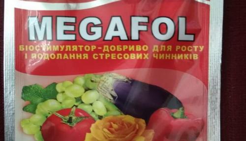 Лучшие удобрения для теплиц и правила подкормки растений. Минеральные, органические и комплексные удобрения нового поколения для теплиц