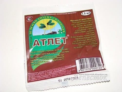 Чем подкормить рассаду, чтобы не вытягивалась. Несколько советов по препаратам против вытягивания рассады