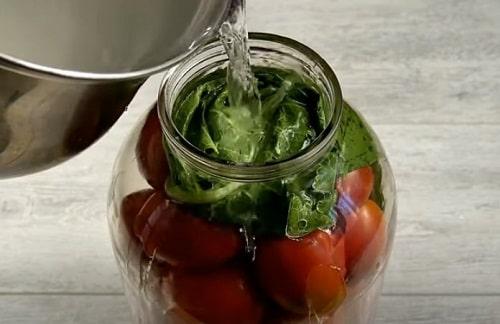 Помидоры с горчицей холодным способом без уксуса. Помидоры с горчицей на зиму — самые вкусные рецепты в банках