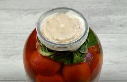 Помидоры с горчицей холодным способом без уксуса. Помидоры с горчицей на зиму — самые вкусные рецепты в банках