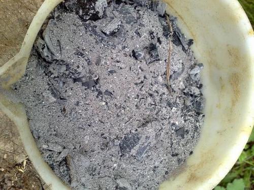 Опрыскивание томатов Монофосфатом калия. Характеристика препарата монофосфат калия