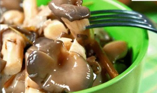 Маринованные вешенки на зиму. Маринованные вешенки – очень вкусные рецепты в домашних условиях 12