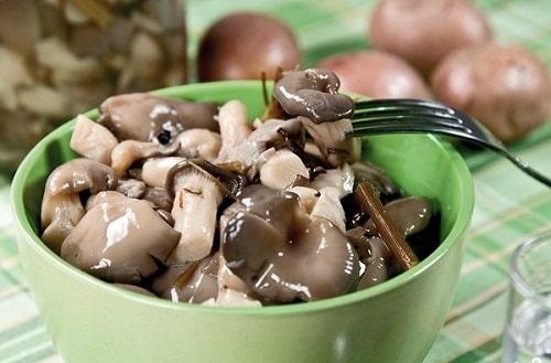 Маринованные вешенки в собственном соку. Маринованные вешенки – очень вкусные рецепты в домашних условиях